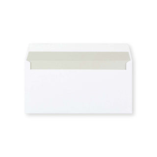 DL White Envelope (110 x 220mm)