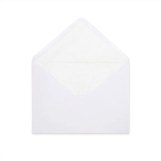 Paper Lined Envelopes