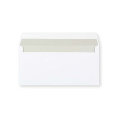DL White Envelope (110 x 220mm)