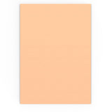 Salmon Pink Envelope 324X229 MM (C4)