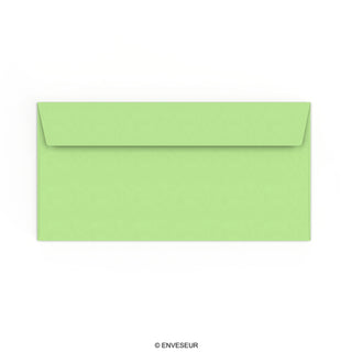 110x220 mm (DL) Pale Green Envelope