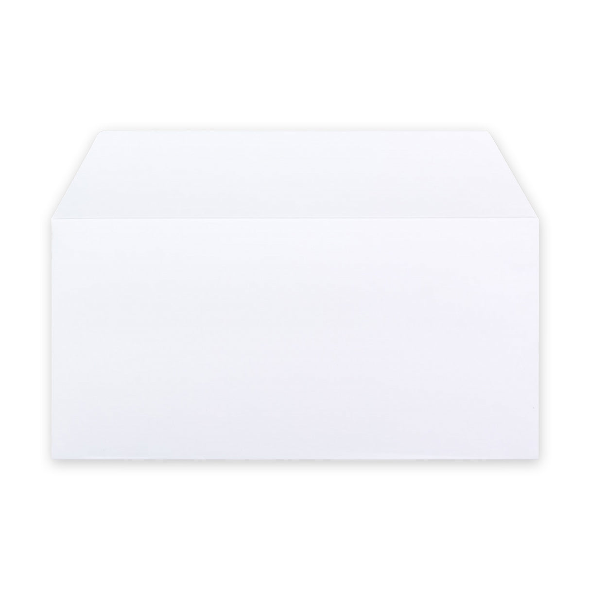 DL White Business Peel & Seal Envelope (110 x 220mm)
