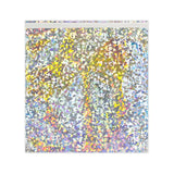 Holographic Finish Foil Bags